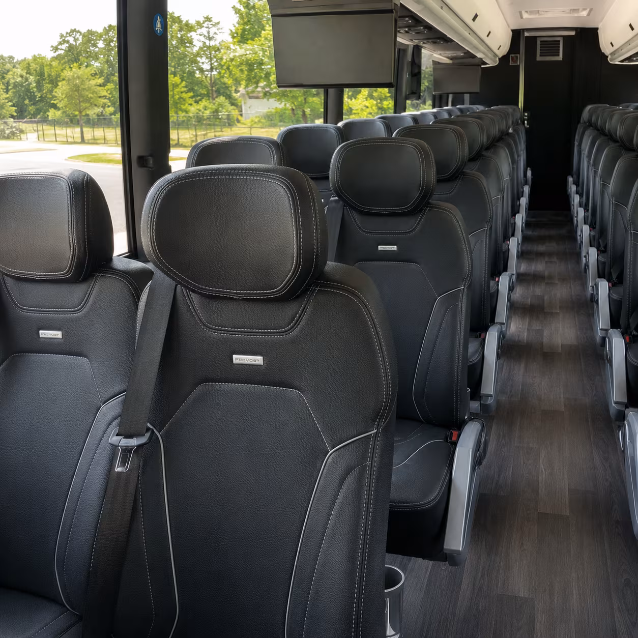 avondale bus rental service area